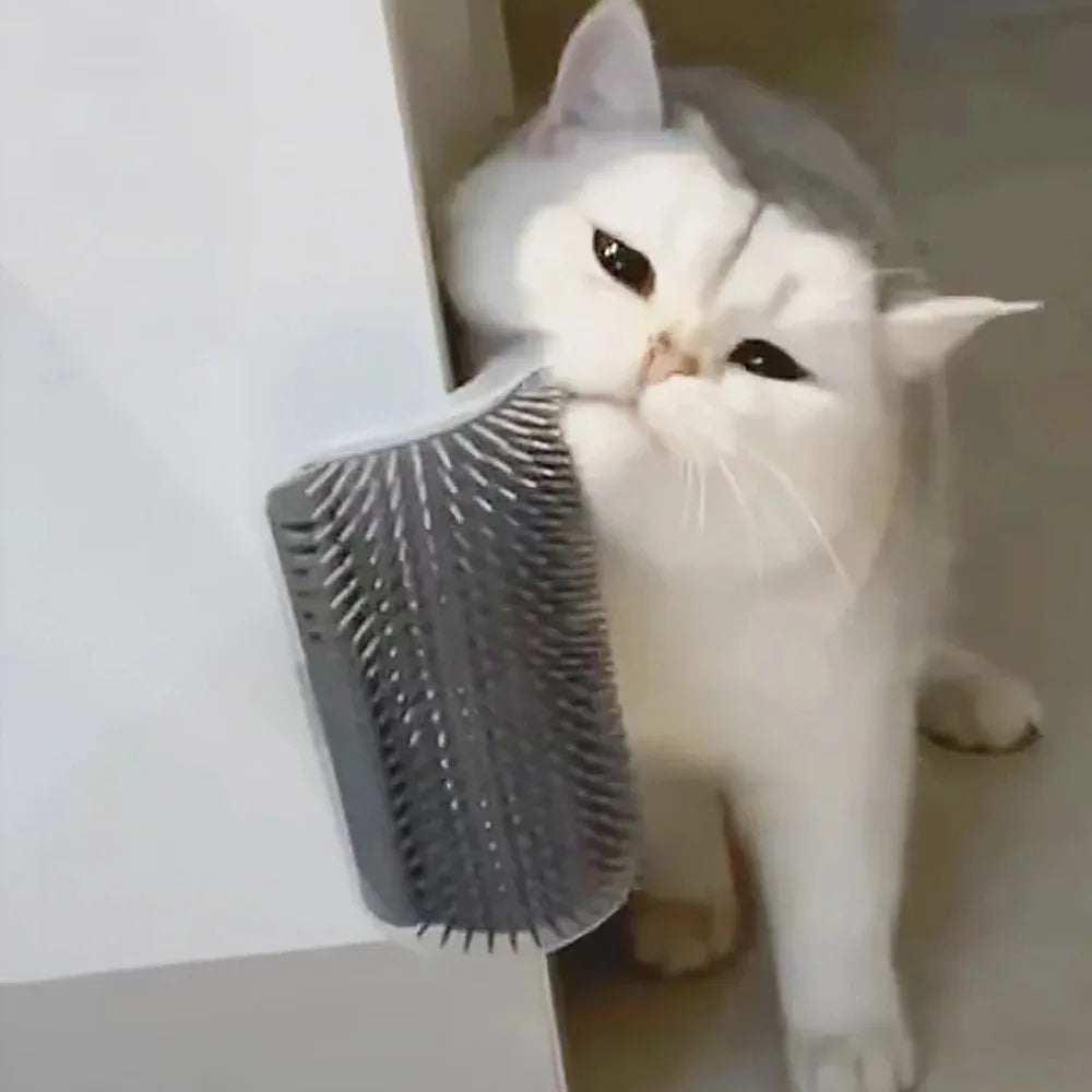 Pet Brush Comb Play Cat Toy Softer Cat Self Groomer Massage Comb with Catnip Cat Face Scratcher for Kitten Puppy Cat Accessories